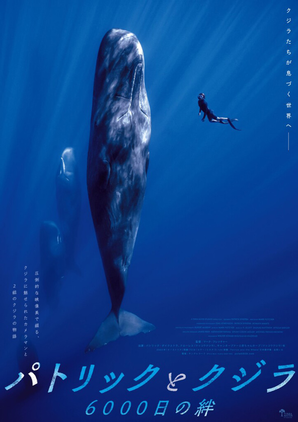 パトリックとクジラ 6000日の絆